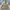 Herrington Jacket Reversible Fashion Pria khaki  photo 2