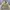 Herrington Jacket Reversible Fashion Pria Khaki 