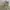 Herrington Jacket Reversible Fashion Pria khaki  photo 4