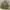 Herrington Jacket Reversible Fashion Pria khaki  photo 1