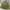 Herrington Jacket Reversible Fashion Pria Khaki 