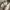 Coax Baggy Cargopants photo 6