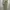 Maison MIHARA YASUHIRO Streetwear Avant Garde Casual Pants Pria Tan