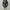 Dark Gray Knitted Top photo 6