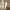 Flat shoes pita beige photo 1