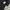 THISISNEVERTHAT Visual Archives Dance Hoodie - Black  photo 7