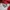 Reebok Windbreakers Jacket photo 7