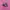 Adidas Samba Black Pink photo 1
