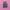 Adidas Samba Black Pink photo 5