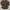 Blue Brown Longsleeve photo 1