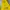 Polo Ralph Lauren Sportswear Vest Wanita yellow photo 3