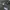 Nike Sportswear Track jacket Pria black photo 4