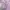 Asics Casual Windbreaker Wanita purple photo 5