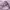 Asics Casual Windbreaker Wanita purple photo 7