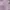 Asics Casual Windbreaker Wanita purple photo 4