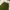 JAPANESE FATIGUE GREEN OLIVE photo 4