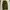 JAPANESE FATIGUE GREEN OLIVE