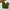 JAPANESE FATIGUE GREEN OLIVE photo 3