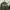 FIELD JACKET MILITARY  photo 1
