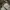 Travelbag gucci duffle bag black kanvas original  photo 4