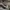 Travelbag gucci duffle bag black kanvas original  photo 5