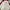 Reebok Casual Sportswear Windbreaker Pria white red photo 4