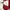Reebok Casual Sportswear Windbreaker Pria white red photo 3