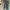 LONG PANTS QUECHUA  photo 1