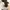 Outer Crop Top Lace White photo 2