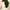 Outer Crop Top Lace White photo 4