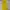 Singlet sport lesmills yellow photo 2