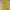 Singlet Sport Lesmills Yellow