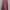 Rok satin velvet aesthetics photo 2