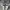 Converse X Golf Le Fleur Chuck 70 OX Original photo 2