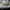 Converse X Golf Le Fleur Chuck 70 OX Original photo 4