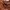 shoulder bag guess photo 4