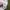 KAOS ADIDAS HEAVY PACK TEE photo 7