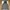 Vintage 00's Dickies Hooded Workwear Overshirt Jacket  photo 1