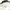AIR JORDAN SPELLING BACK HIT photo 5