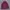 Jaket Outdoor Mc Kinley Waterproof 3layer Women photo 1