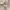 HOODIE LUXURY BURBERRY ITALYA photo 4