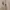 HOODIE LUXURY BURBERRY ITALYA photo 5