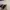 zeroUV sunglasses (mirror glasses) photo 6