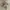 Vintage Luxury Sweater Wanita tan cream photo 6