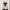 White House Black Market - White Ivory Dress Size M photo 1