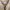 John Langford of London Creme Shirt XXL photo 3