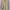John Langford of London Creme Shirt XXL photo 1