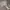 Cinema Club Vintage Luxury Sweater Wanita tan photo 1