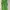 Green Athletic Wear (Tanktop) Size S/M photo 2