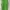 Green Athletic Wear (Tanktop) Size S/M photo 1